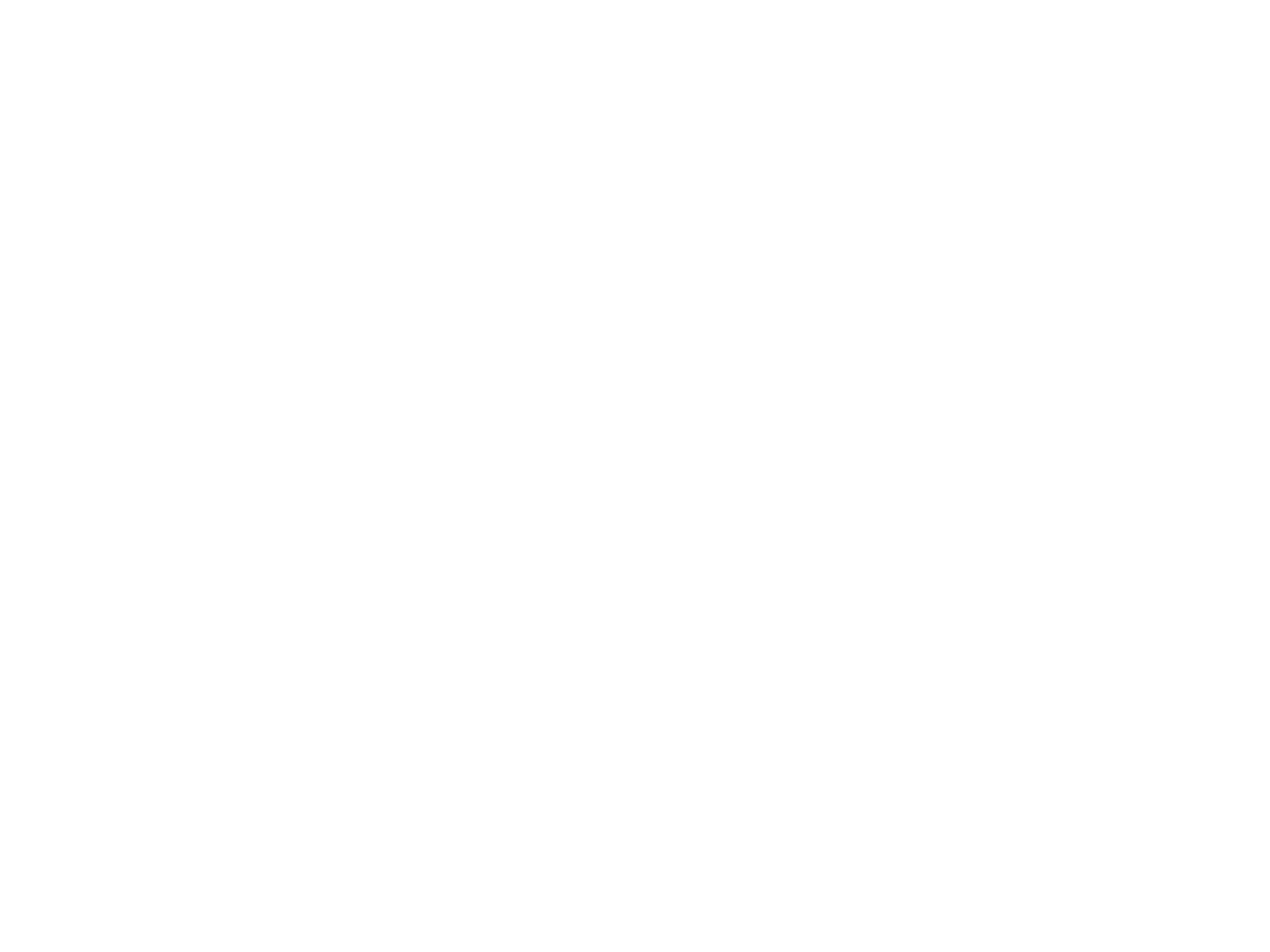 logo ine