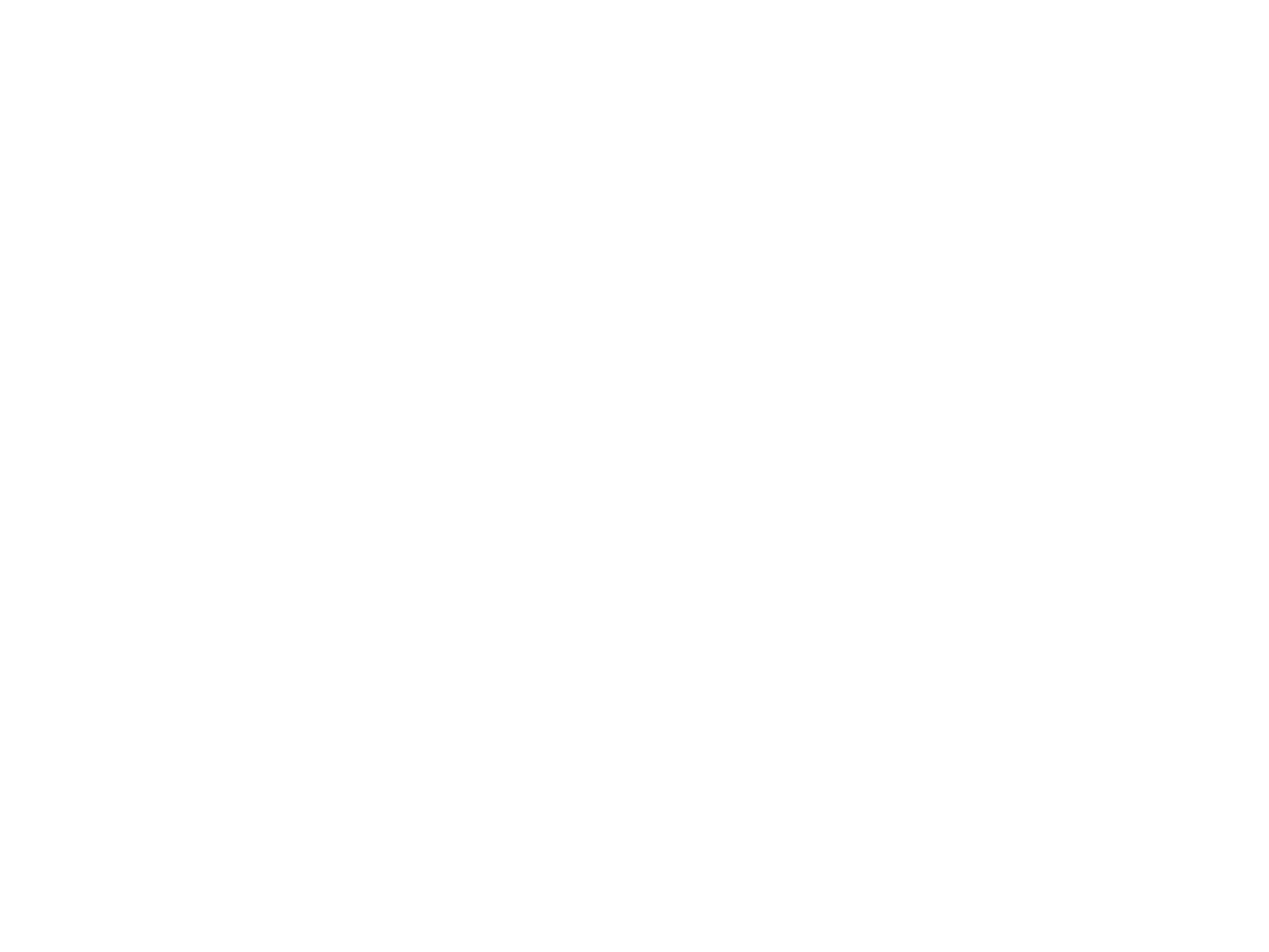 logo ine
